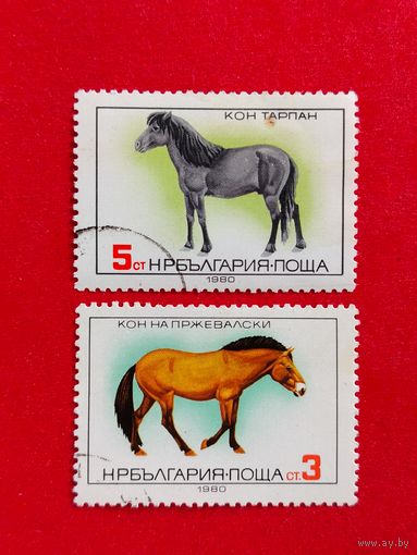 Болгария. Лошади. ( 2 марки ) 1980 года. 8-12.