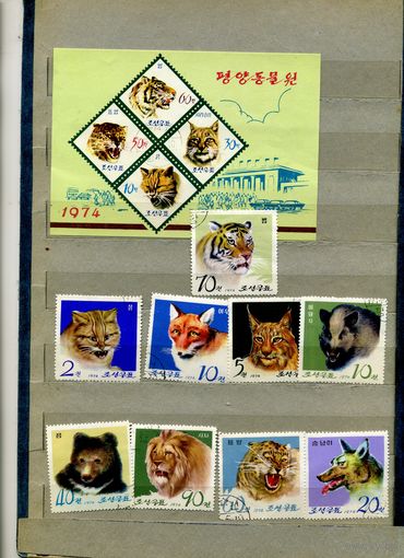 КНДР, 1974,КОШАЧЬИ,  серия 9м + блок , гашен