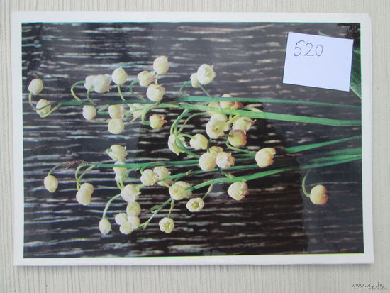 Открытка двойная Размер 20*15 лот 520