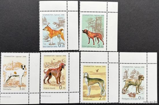 Таджикистан 2006  . Фауна. Собаки