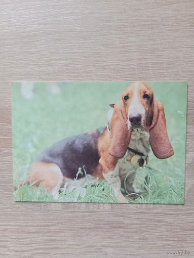 Календарик,1993