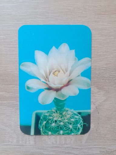 Календарик 1990