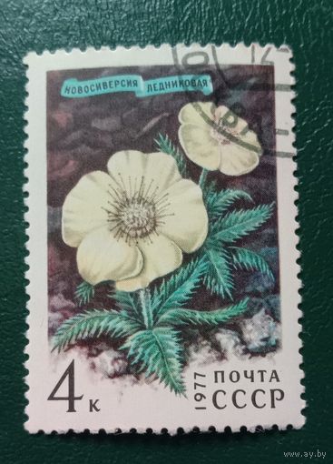 СССР 1973 Новосиверсия Цветы