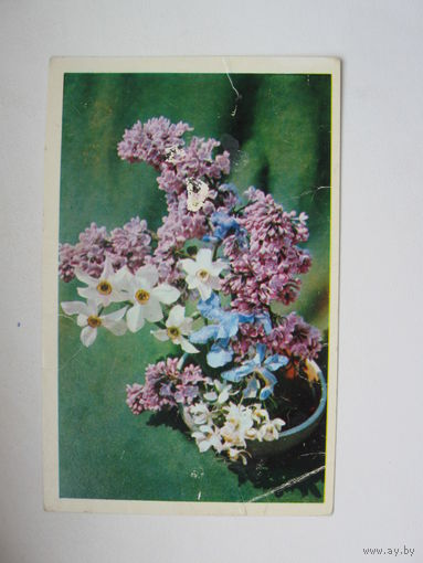 Вартапетян Н. 1976г.