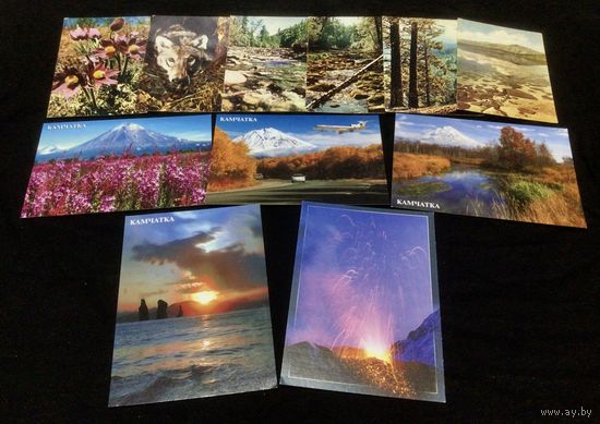 Природа и фауна Забайкалье