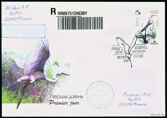 Беларусь 2008 год Конверт первого дня Птица года. Большая белая цапля