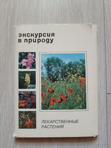 Экскурсия в природу. Лекарственные растения. Набор 23 из  25 открыток