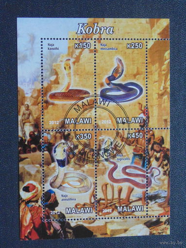 Малави 2012 г. Змеи.