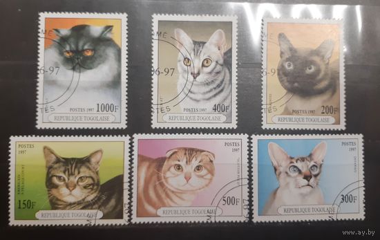 Того. 1997 год. Фауна. Кошки (748)