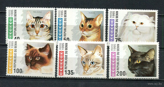 Бенин - 1995 - Кошки - [Mi. 668-673] - полная серия - 6 марок. MNH.  (Лот 68HJ)-T41P51