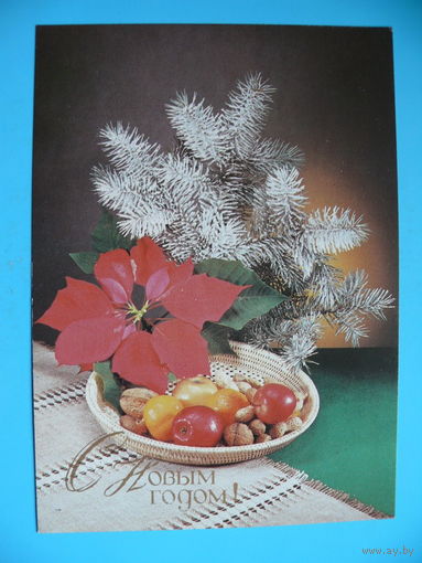 Киндорова Д.(фото), С Новым годом! 1989, чистая.