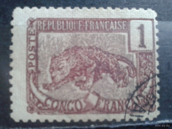 Конго, колония Франции, 1900. Пантера