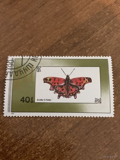 Монголия 1990. Бабочки. Grober c-falter. Марка из серии