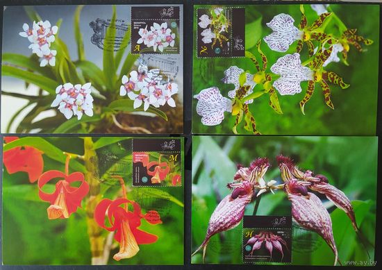 Беларусь 2016 КМ орхидей