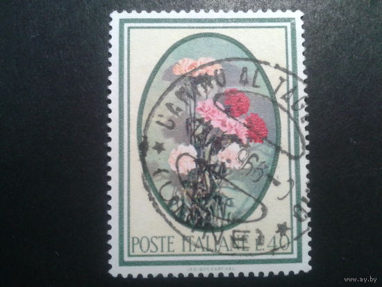 Италия, 1966. Цветы