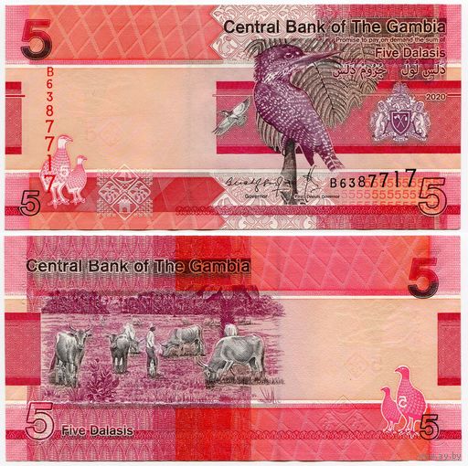 Гамбия. 5 даласи (образца 2020 года, P37, UNC)