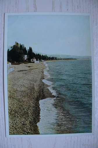 Петров Н., Гагры. Пляж; 1949, чистая.
