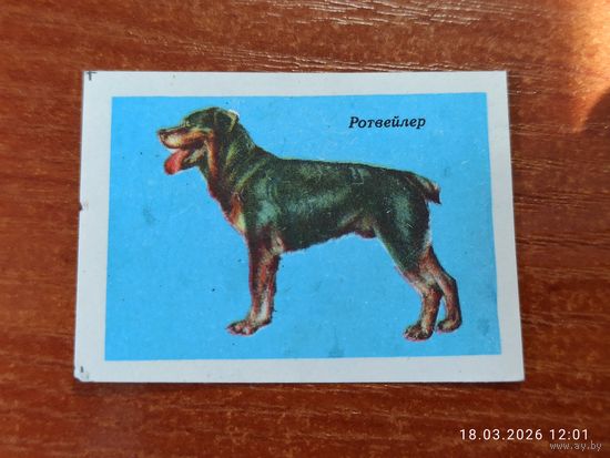 Спичечная этикетка Ротвейлер