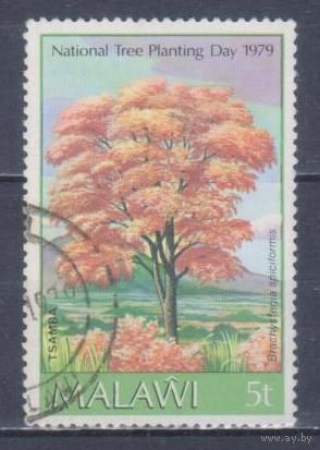 [858] Малави 1979. Флора.Деревья. Гашеная марка.