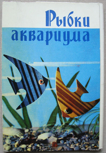 Набор открыток Рыбки аквариума (1971) Неполный 16 открыток из 18