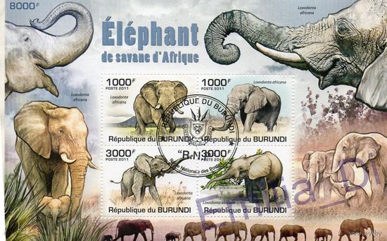 ЛИСТ ФАУНА животные  СТО