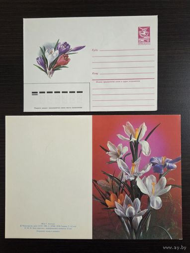 Костенко Куртенко Комплект 1984 чистая открытка + конверт ХМК СССР