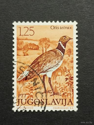 Югославия 1972. Птицы