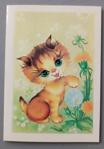 Поздравляем! Котенок. О. Юрасова. Мини-открытка, чистая, 1985г