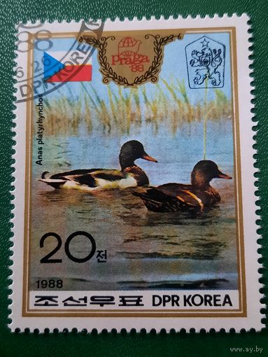 КНДР 1988. Фауна. Дикие утки