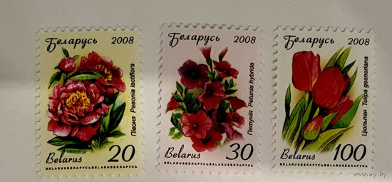 РБ. Беларусь  Стандарт. Цветы. Флора 2008 г. **