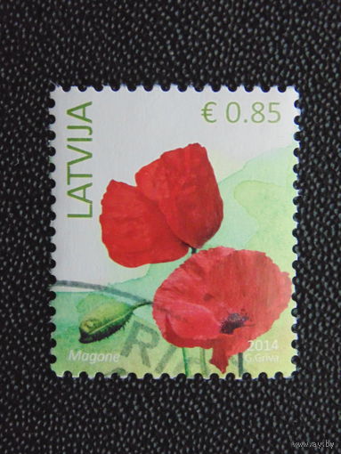 Латвия 2014 г. Флора.