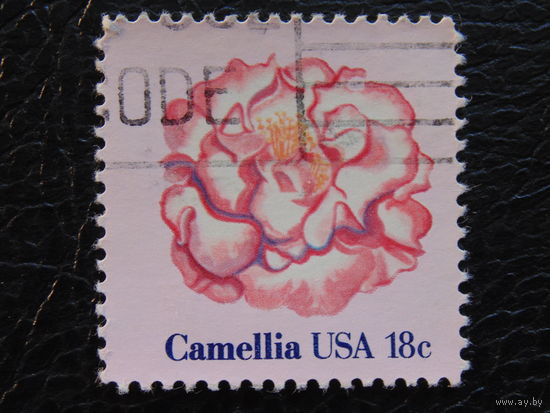США 1981 г.