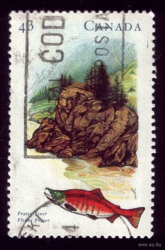 1 марка 1993 год Канада 1374