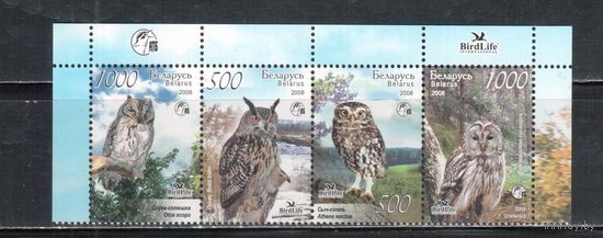 Беларусь-2008,(Мих.750-753) **  , Фауна, Птицы, Совы