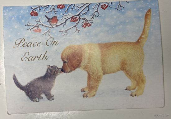 Открытка Мир на земле