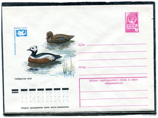 СССР 1978. ХМК. Конверт. Фауна. Сибирская гага