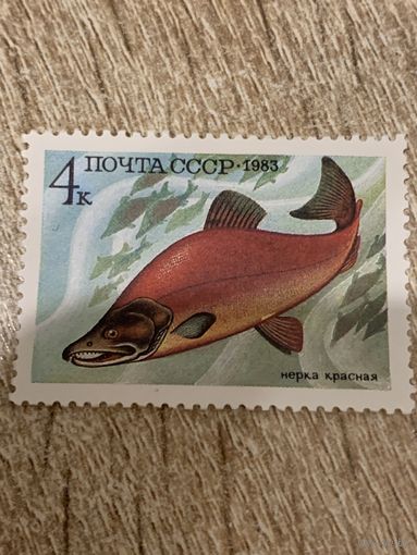 СССР 1983. Нерка красная. Марка из серии