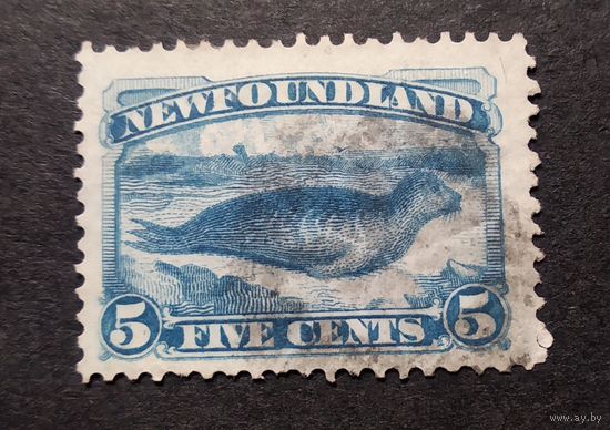 Великобритания\136в\ Ньюфаундленд  1880 SG48 фауна тюлень
