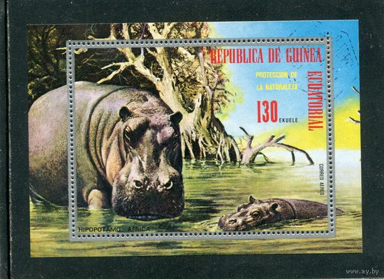 Экваториальная Гвинея. Фауна. Бегемот. Блок