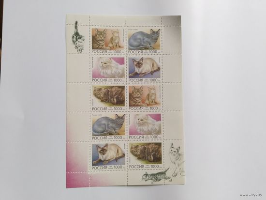 Россия 1996 м/лист коты