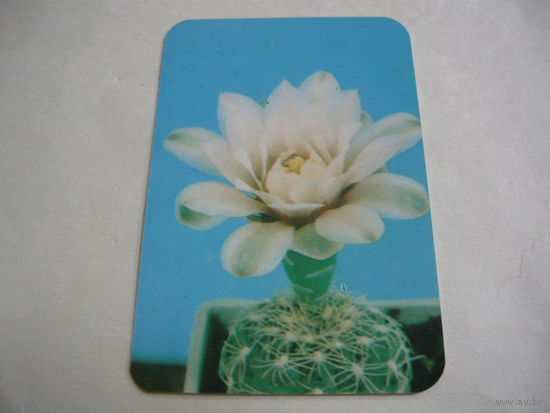 1990