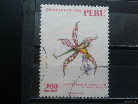 Перу, 1971. Цветок
