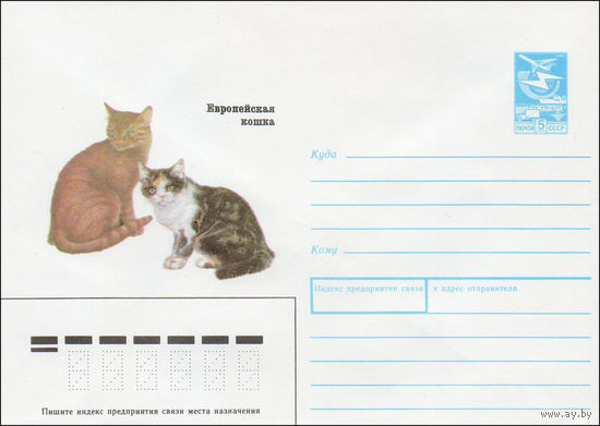 Художественный маркированный конверт СССР N 89-226 (28.04.1989) Европейская кошка