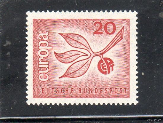 Германия. Mi:DE 484. Серия: Европа (C.E.P.T.) 1965 - Фрукты. 1964.