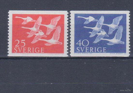 [35] Швеция 1956. Фауна.Птицы.Лебеди. СЕРИЯ MNH