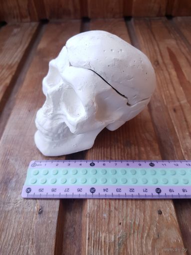 Лот С 1 РУБЛЯ, без МЦ! много лотов! Гипсовая шкатулка череп небольшая под декор роспись