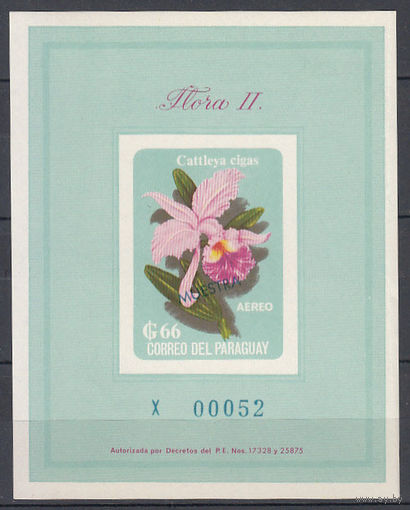 Флора. Цветы. Парагвай. 1963. 1 блок. Michel N бл45 (60,0 е)