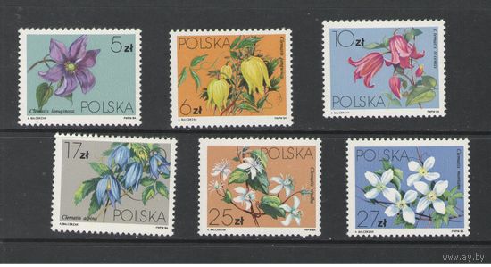 Марки Польши. Цветы. 1984г.