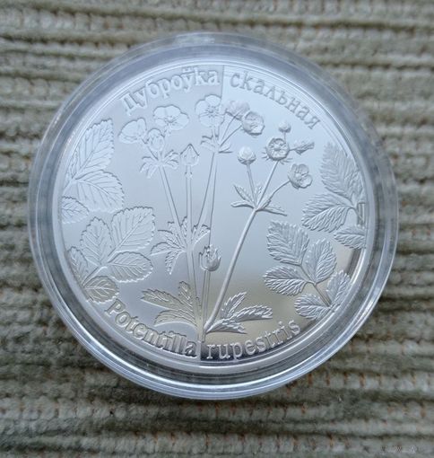 Werty71 Беларусь 1 рубль 2017 Лапчатка скальная Возрожденные растения Дубровка скальная