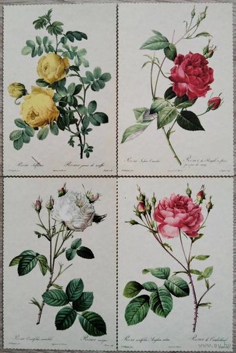 Розы. Иллюстрации Пьера-Жозефа Редуте. 4 шт. Издатель. В.Соколов. Россия. 2018 г.